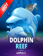 Dolphin Reef